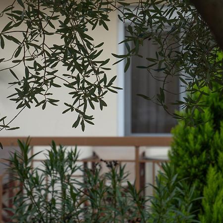 Guesthouse Adonis Loutraki  Bagian luar foto
