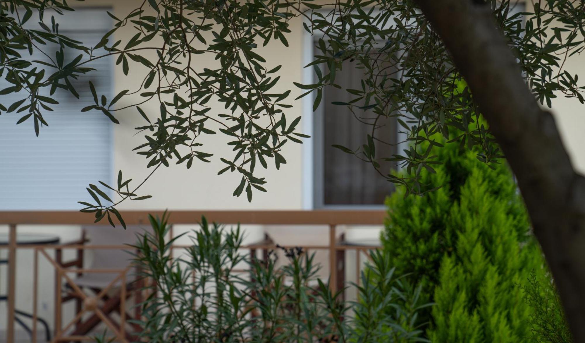 Guesthouse Adonis Loutraki  Bagian luar foto