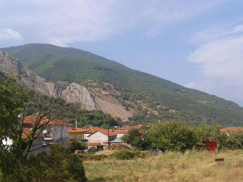 Guesthouse Adonis Loutraki  Bagian luar foto