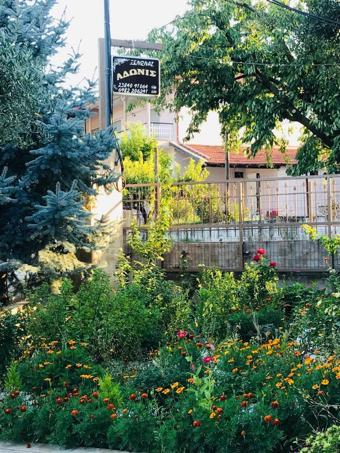 Guesthouse Adonis Loutraki  Bagian luar foto